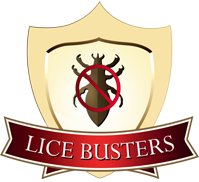 head lice treatment